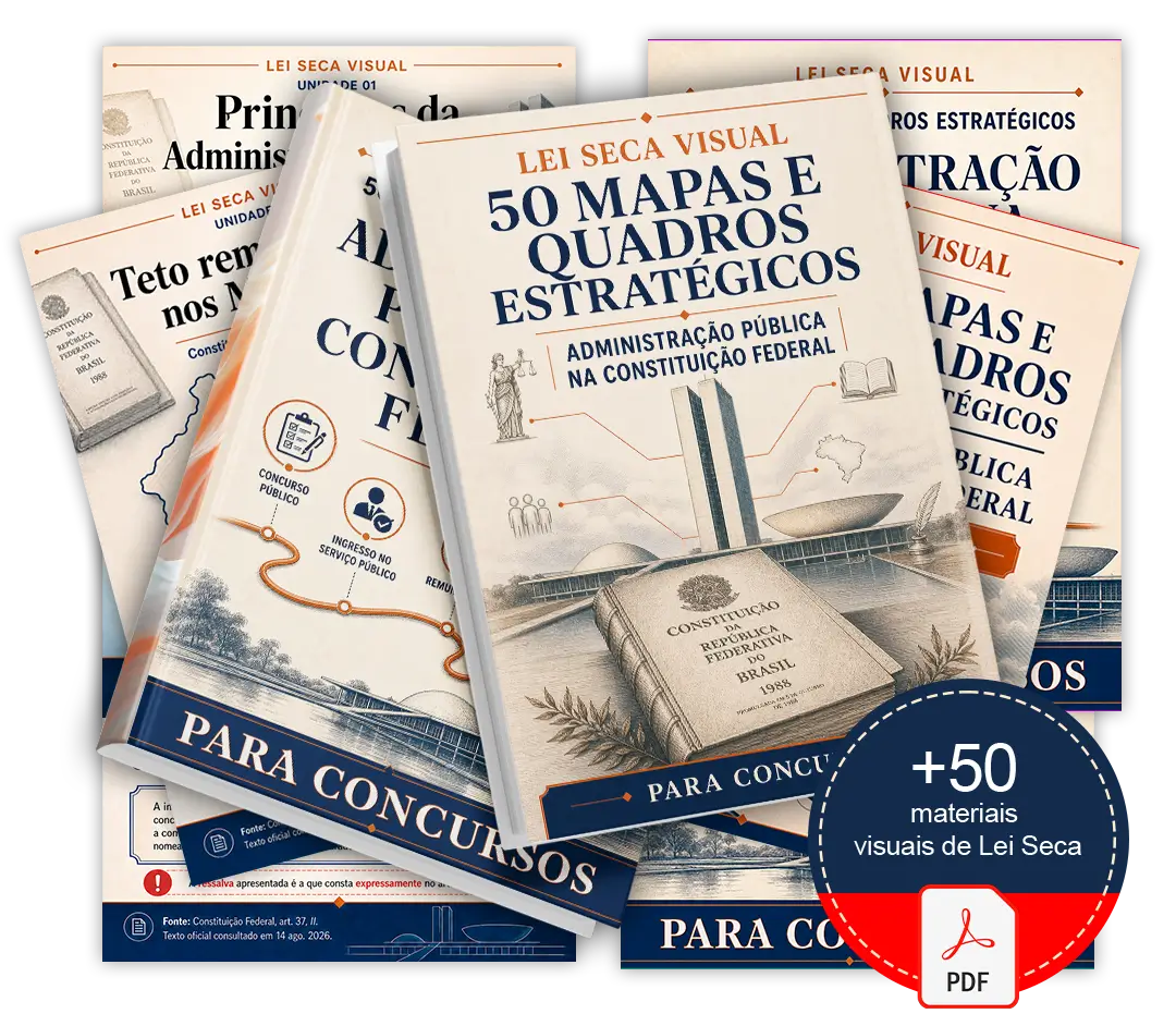 Mockup principal da Lei Seca Visual